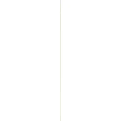 Geen Afdeklijst grenen 6x44 mm lengte 270 cm Outlet