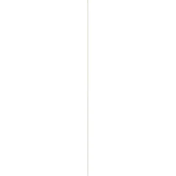 Geen Afdeklijst grenen 4x22 mm lengte 270 cm New