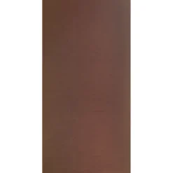 Geen Betonplex plaat 250 x 125 cm 18 mm