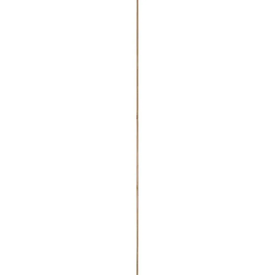 Geen Betonplex plaat 250 x 125 cm 18 mm