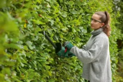 Bosch 18V heggenschaar EasyHedgeCut 18V-52-13 (zonder accu) Sale