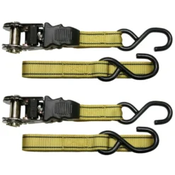 Carpoint Spanbandenset luxe met ratel 2 x 5 meter Best