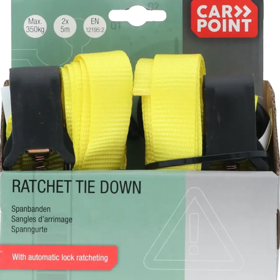 Carpoint Spanbandenset luxe met ratel 2 x 5 meter Best