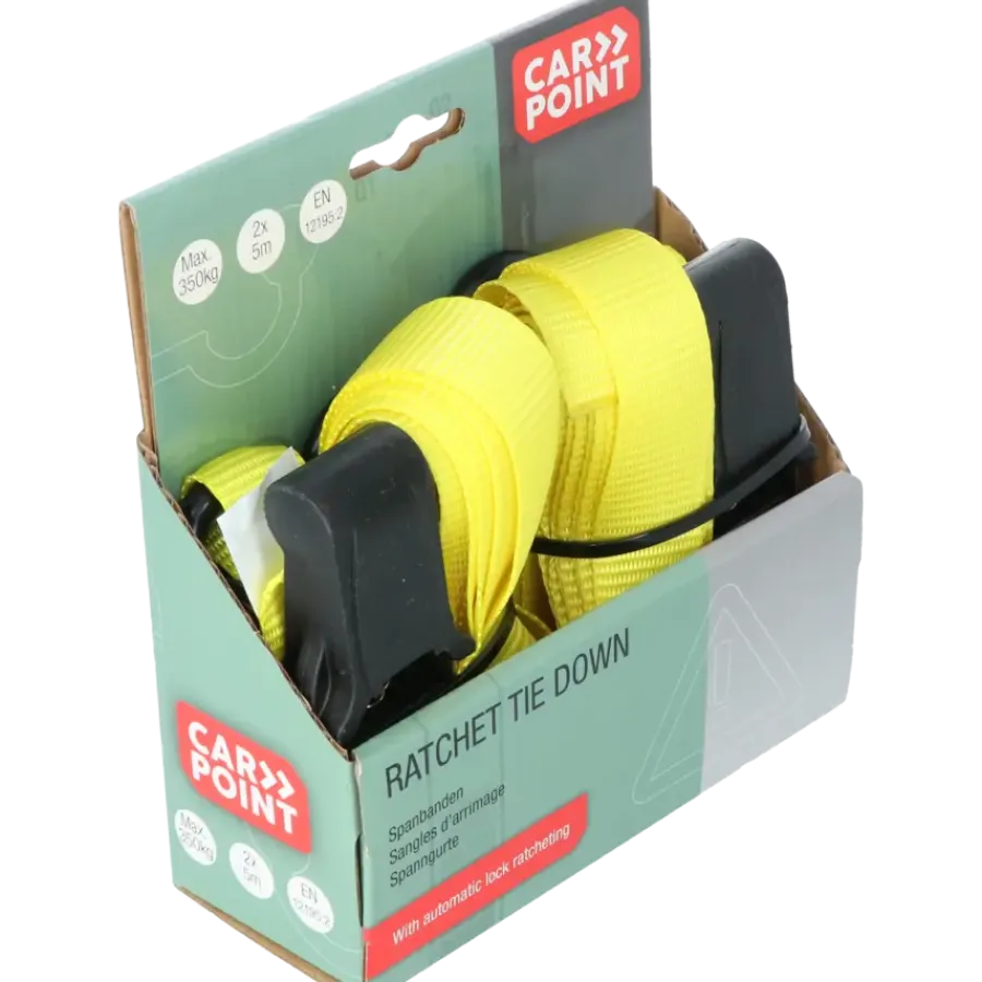 Carpoint Spanbandenset luxe met ratel 2 x 5 meter Best