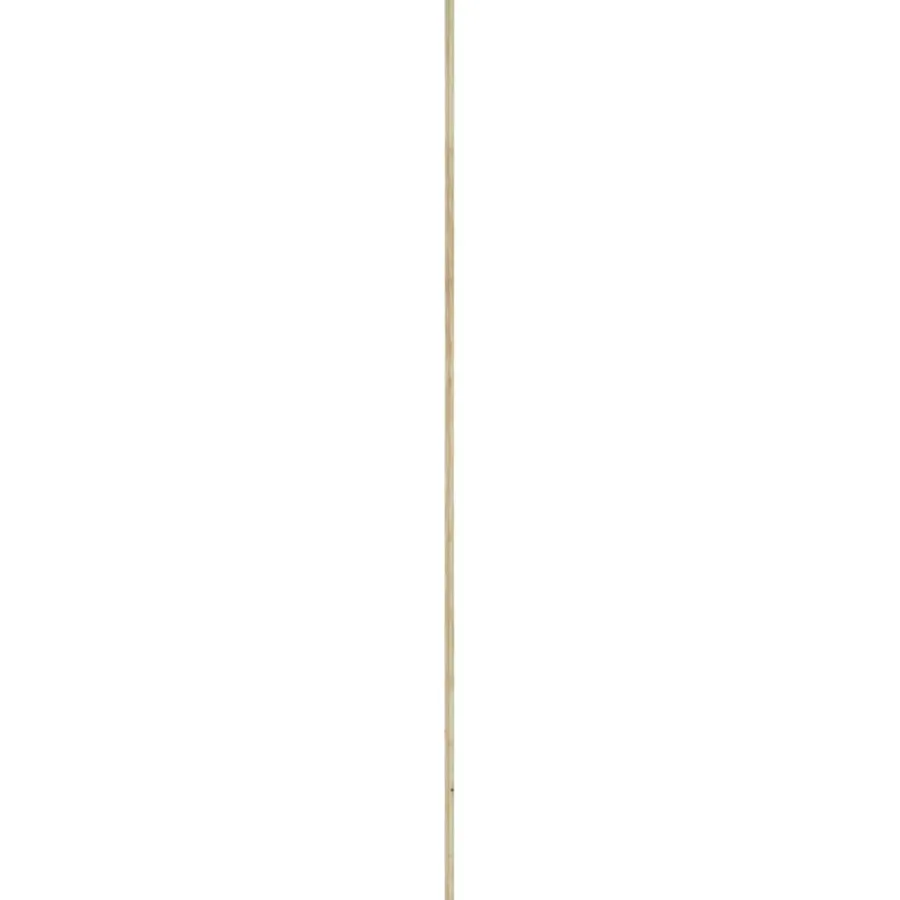Geen Decorlijst grenen 6x22 mm lengte 270 cm