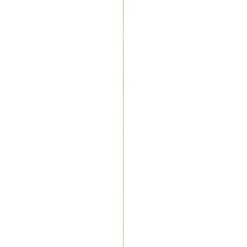 Geen Decorlijst grenen 6x22 mm lengte 270 cm