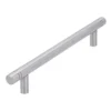 Handgreep Leonie RVS 166mm