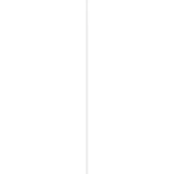 Geen Hollat grenen gegrond 22x22mm 270cm Discount
