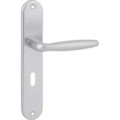 KARWEI deurkruk set Antonio ovaal schild sleutelgat 56 mm aluminium Best
