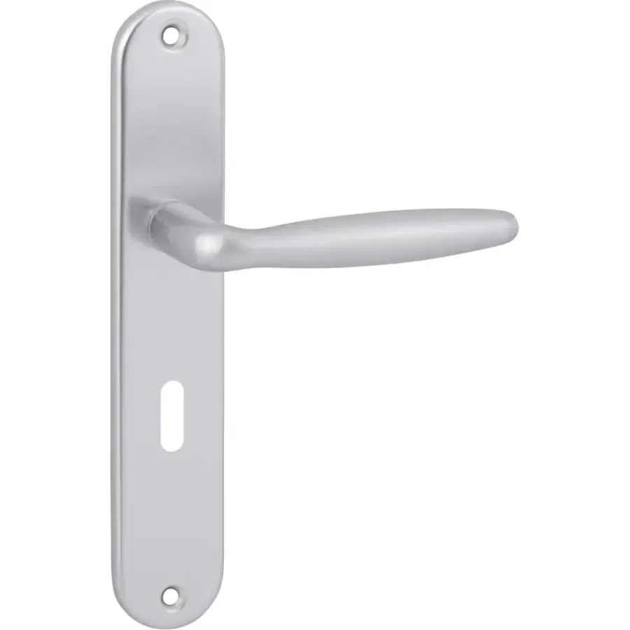 KARWEI deurkruk set Antonio ovaal schild sleutelgat 56 mm aluminium Best