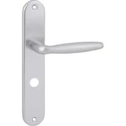 KARWEI deurkruk set Antonio ovaal schild vrij-bezet sluiting 63/8 mm aluminium Best