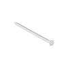 KARWEI spijker verzinkt 5x125 mm (20 stuks)