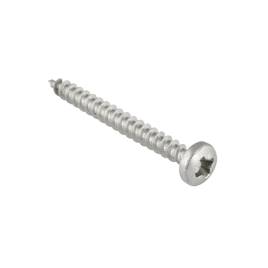 KARWEI unischroef cilinderkop rvs 3x20 mm (15 stuks)