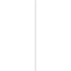 Geen Koplat grenen recht gegrond 12x68 mm, lengte 270 cm Online
