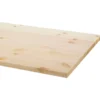 CanDo Werkblad grenen 250x61 cm 28 mm Online